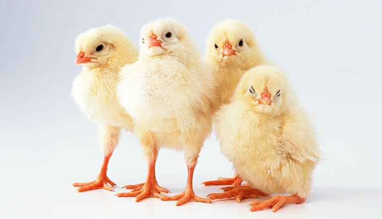 Export Portal’s Story