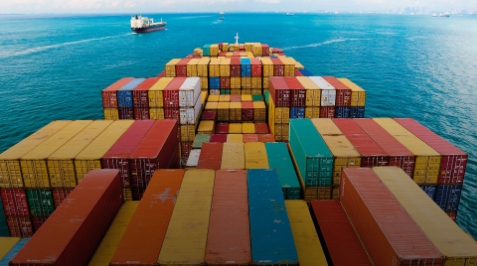 Import and Export on Export Portal's B2B Platform