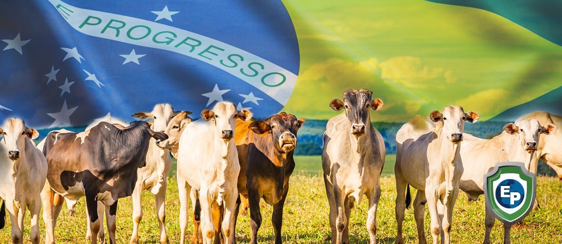 Brazil is Beefing Up their Meat Industry