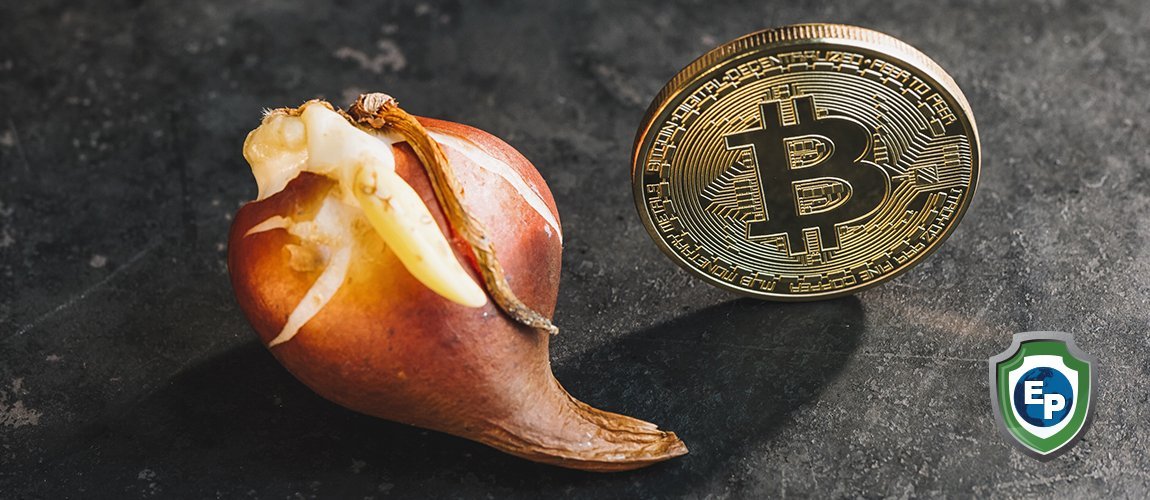 EP Historical Trade Trivia - The Dutch Tulip-Mania