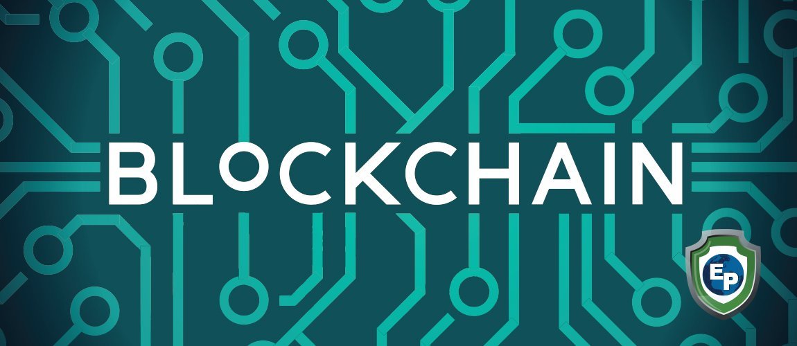 Export Portal vs The Competition