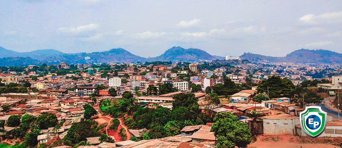 Programs Cameroon Has Put In Place For SMEs