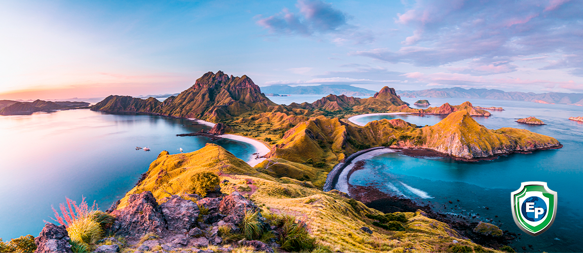 Indonesia Calls for FDI in Digital Economy