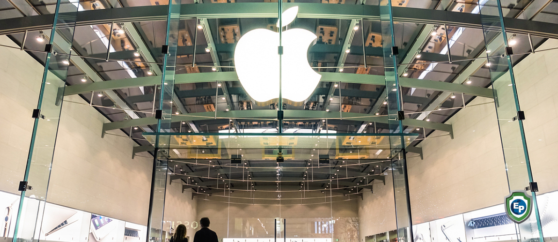 The Importance of Tapping into the Potential of SMEs