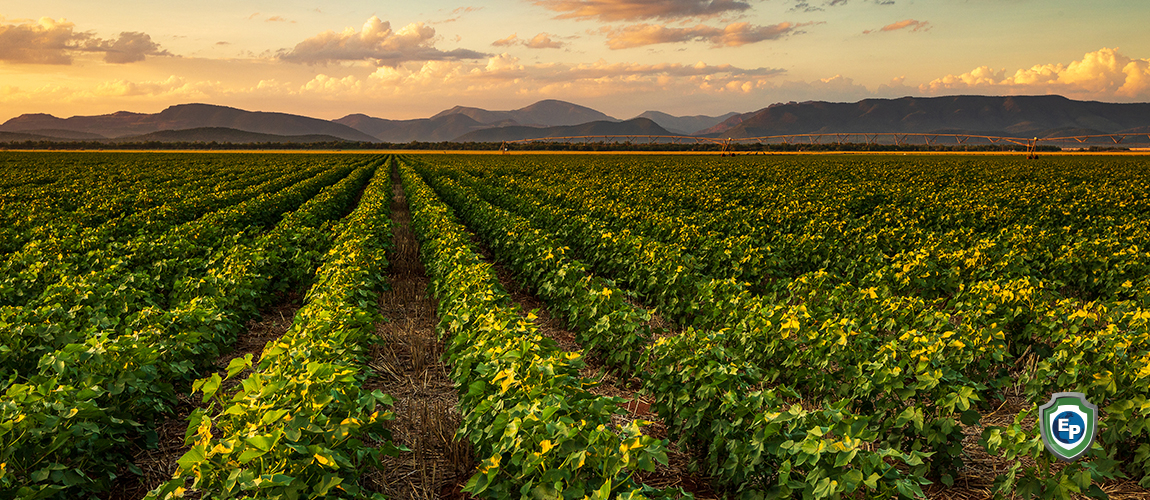 Cameroon’s Textile Industry