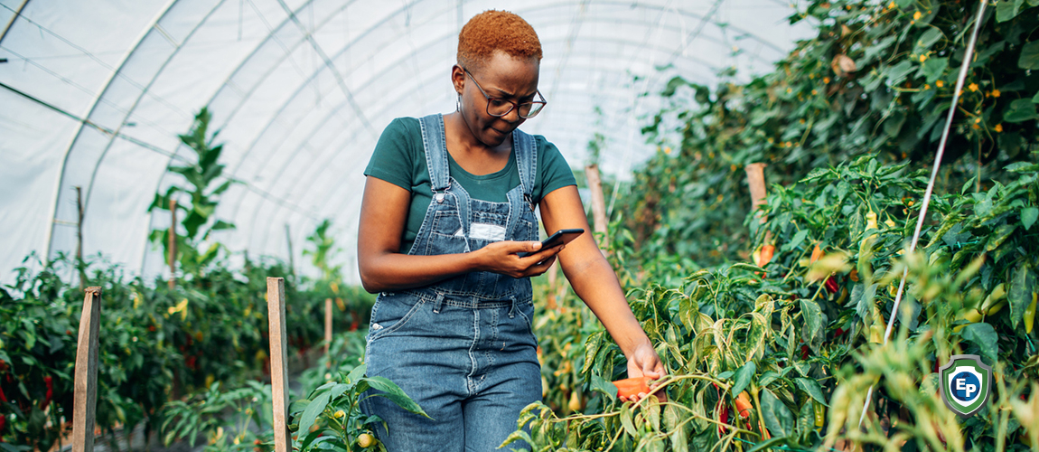 How to Sell Agricultural Products Online | Small Farm Tips