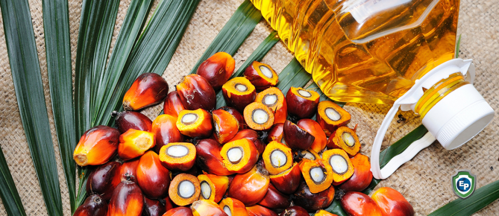 Removal of palm oil from the list of biofuels accepted in the EU: The response of Asian countries.