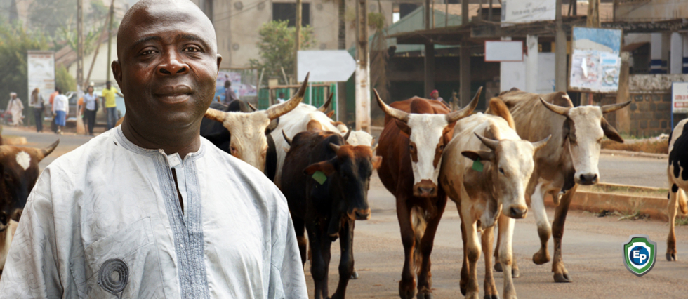 Cameroon Kicked Out of AGOA