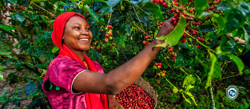 What will a Kenya-US Free Trade policy mean for businesses in the region?