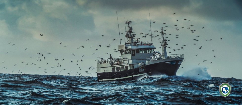 The Fish Problem: Why the WTO’s Future Lies in Some Murky Waters