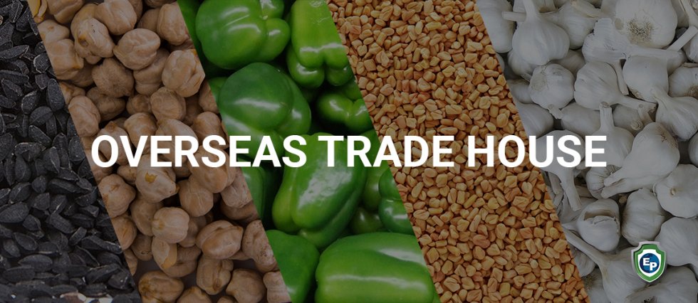 SME Spotlight | Overseas Trade House