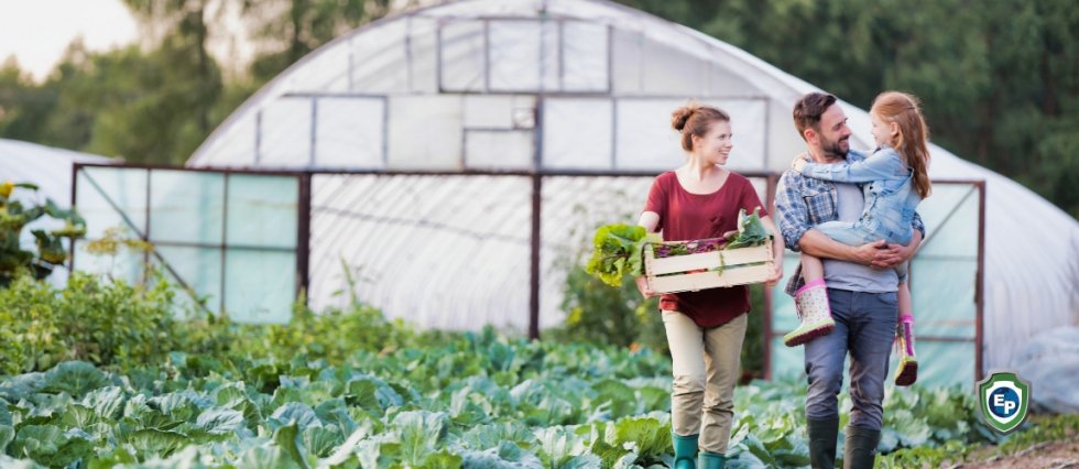 How small farms found new customers during the coronavirus pandemic