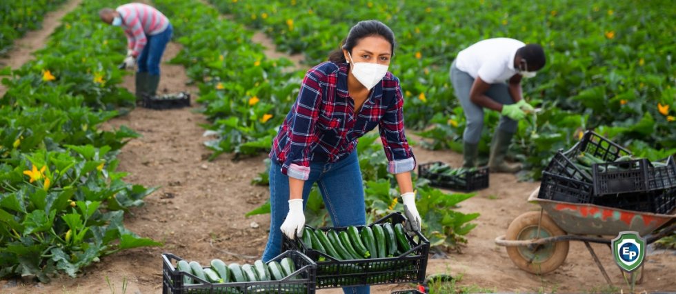 Empowering women through women cooperatives in developing countries