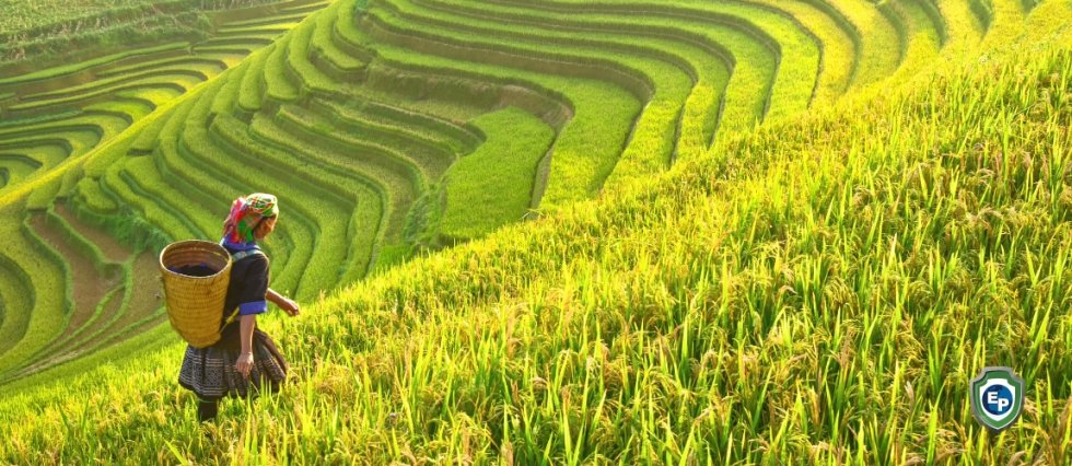 U.K. Looks to Strengthen Ties with Southeast Asia