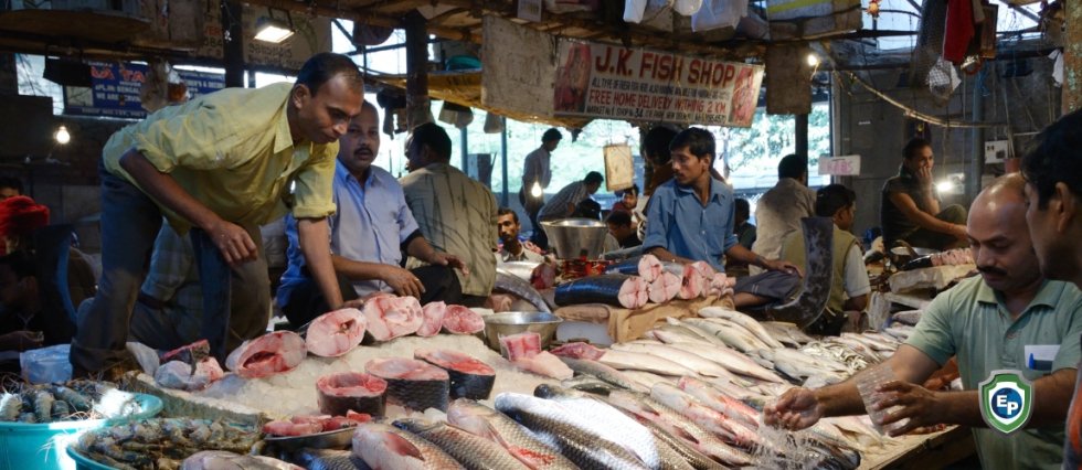 India's seafood exports slump