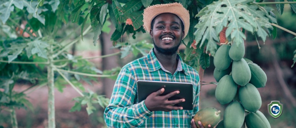 New versus Traditional B2B International Payments in Cameroon