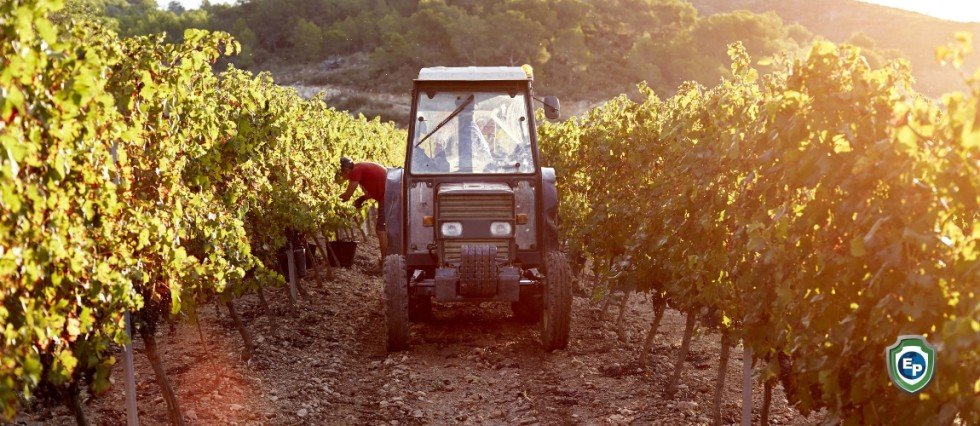 Labor Shortage and Lack of Supplies from Asia Are Disrupting the UK Supply Chain