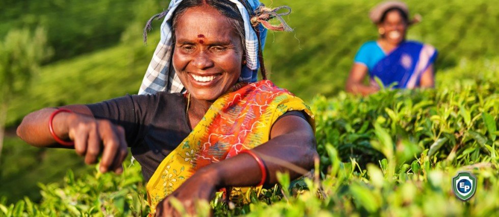 India Withdraws Controversial Farming Laws