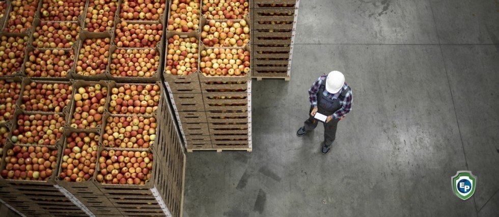 Beginner’s Guide to Importing: Understanding the Business of Importing