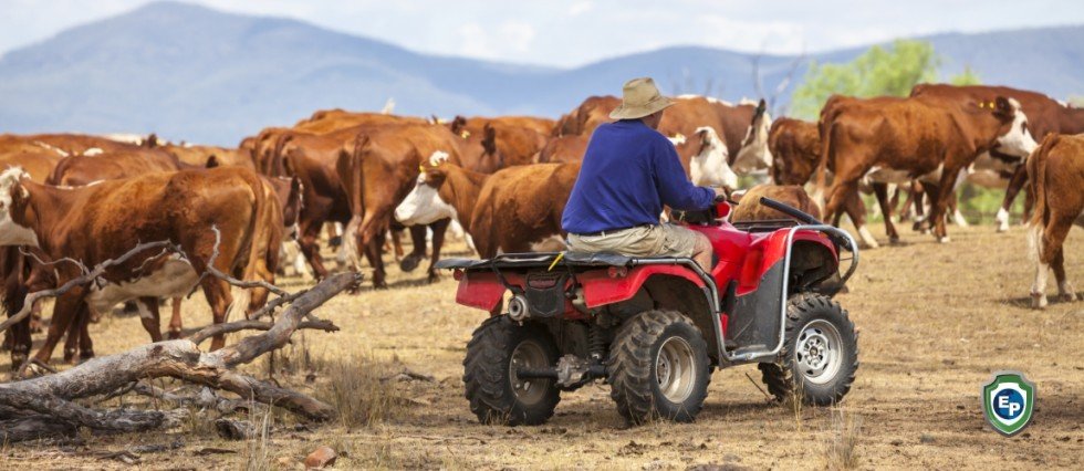 Why Not Everybody Is Happy with the New UK-Australia Trade Deal