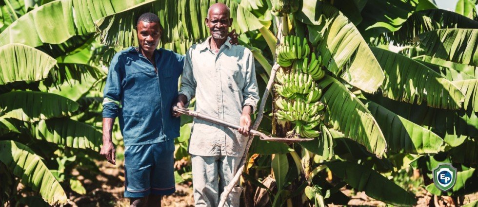 Zambia’s Good 2021 Economic Figures