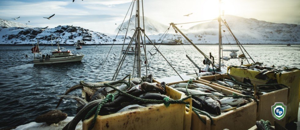 The UK, Norway, and EU Sign Agreement on North Sea Fishing Limits