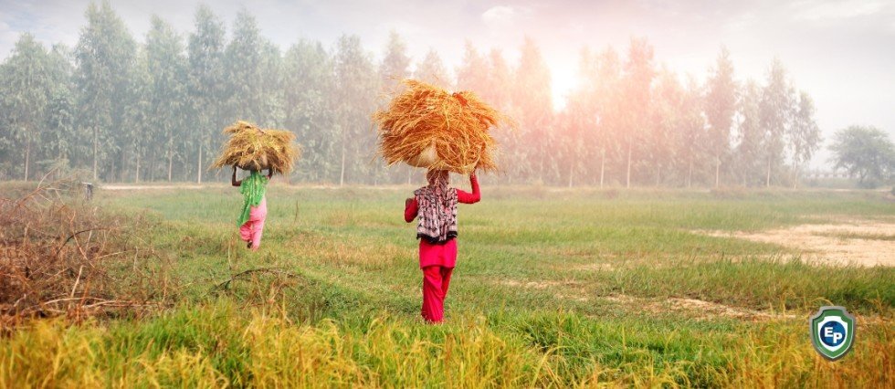 India and the UAE Ink Historic Free Trade Pact to Strengthen Economic Ties