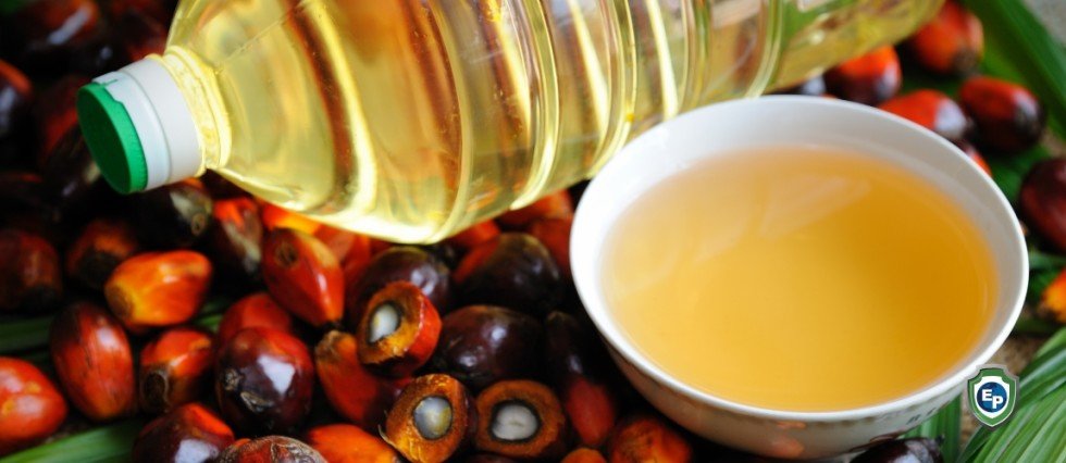 Malaysia Aims to Regain Palm Oil Market Share in the EU amid a Global Shortage