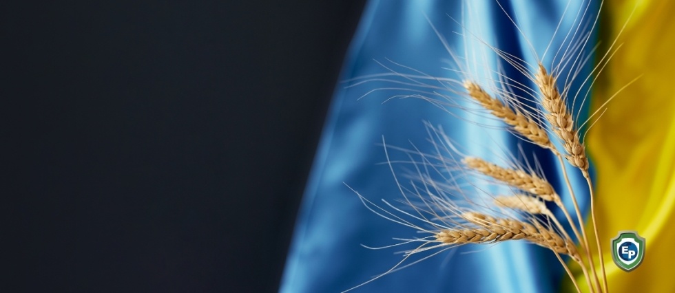 Is the Russian Blockade of Ukrainian Grain Really Over?