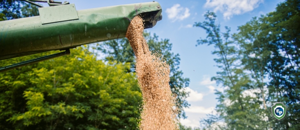 Russia and Ukraine Agree to Resume Grain Exports