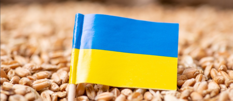 Ukrainian Grain Exports in Numbers