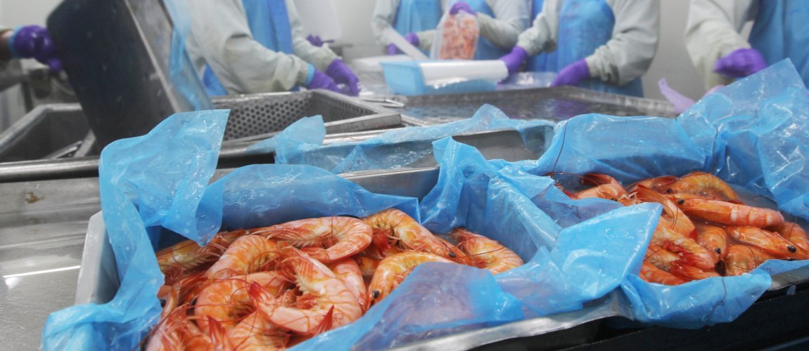 US anti-dumping duty hike on Vietnam shrimps to hurt Indian exports
