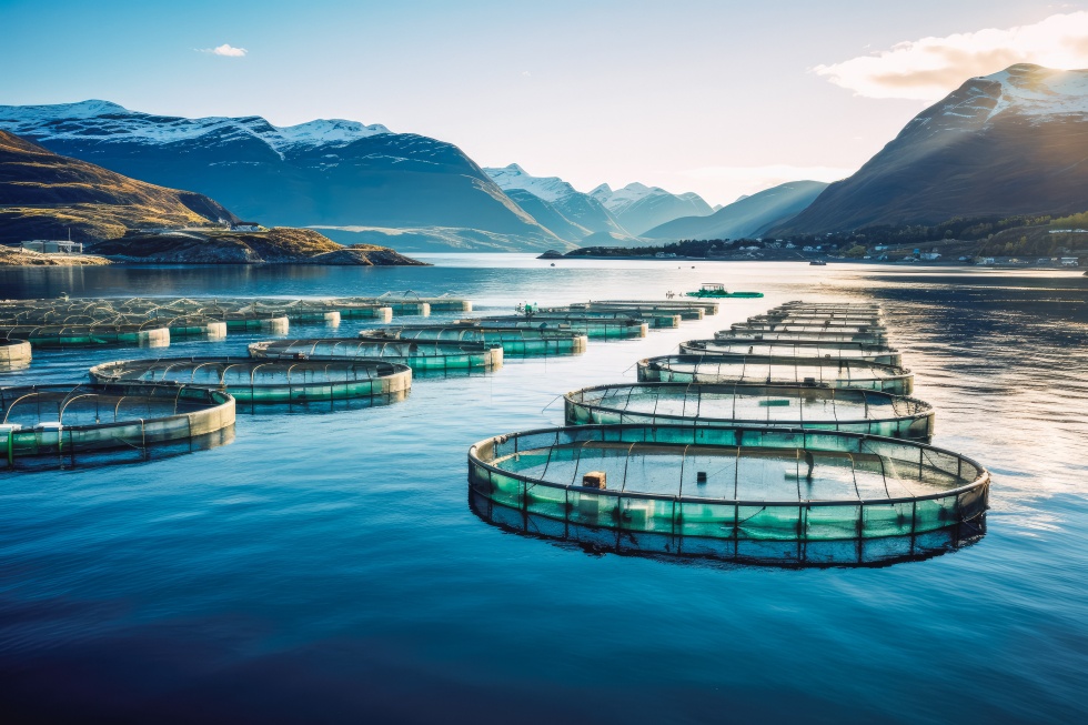Unlocking Fishing Sustainability Trends for a Greener Tomorrow