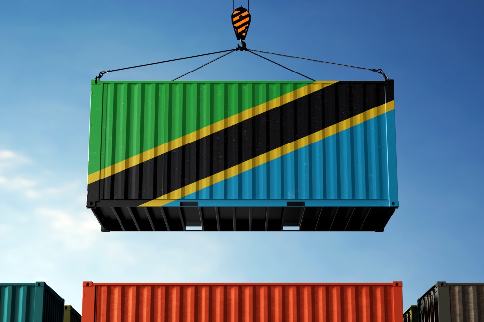 Unlocking Tanzania's Import Secrets