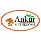 Ankur Mushroom's