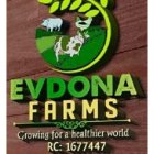 EVDONA Logistics International