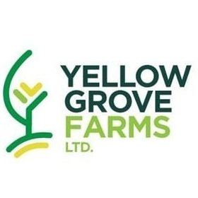 Yellow Grove Farms Seller