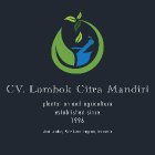 CV. LOMBOK CITRA MANDIRI