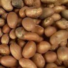 AKUPEACE OPTIMUM INVESTMENT SERVICES