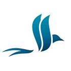 GENUINE VISION (T) LTD