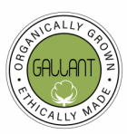 GALLANT INTERNATIONAL INC