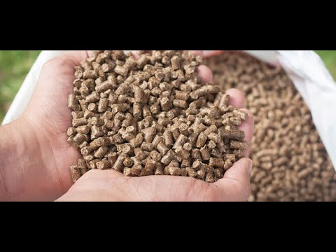 Bharat feeds and Extractions Ltd