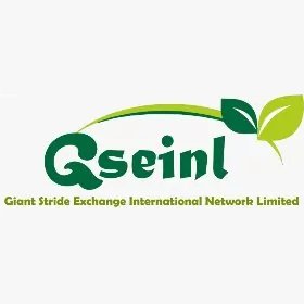 Giant Stride Exchange Int'l Network Ltd Seller