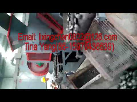 briquette machine for egg shape
