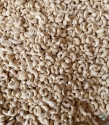Cashew Nuts