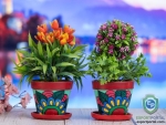 Decorative Terracotta tabletop Planters set of 2