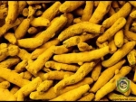 Turmeric finger