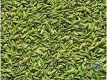 Fennel seeds