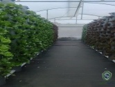 Vertical Aeroponic Grow Kit For 48 Plants - AEROTOWER-48