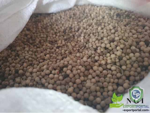 Muntok White Pepper